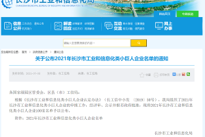 威爾登環(huán)保入選2021年長(zhǎng)沙市工業(yè)和信息化類(lèi)“小巨人企業(yè)”